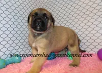 processed/f952aaee-cca1-46e9-9308-e8aa736625c3/listing/25591675-5b01-4dcb-8e5f-28f7b34a2847/b7d7106b-bcf9-493e-826d-4d5211f12c79