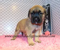 processed/f952aaee-cca1-46e9-9308-e8aa736625c3/listing/25591675-5b01-4dcb-8e5f-28f7b34a2847/bfe8ef56-c8ae-40c7-896d-29c19d4359aa