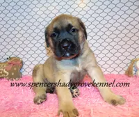 processed/f952aaee-cca1-46e9-9308-e8aa736625c3/listing/25591675-5b01-4dcb-8e5f-28f7b34a2847/d998bce8-d8e7-4b37-ac8d-21603fe1d106