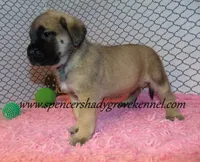 processed/f952aaee-cca1-46e9-9308-e8aa736625c3/listing/25591675-5b01-4dcb-8e5f-28f7b34a2847/dc064f77-606d-448b-8e5c-0cc90f3041cf