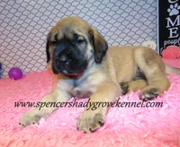 processed/f952aaee-cca1-46e9-9308-e8aa736625c3/listing/314839b3-f45a-478d-a95b-e6c5edf3e8cb/186b7cb5-71f1-4f2a-8f45-3d1670f731db