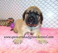 processed/f952aaee-cca1-46e9-9308-e8aa736625c3/listing/314839b3-f45a-478d-a95b-e6c5edf3e8cb/237cb4d5-481b-4401-b5bb-4ef6549ca919