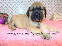 processed/f952aaee-cca1-46e9-9308-e8aa736625c3/listing/314839b3-f45a-478d-a95b-e6c5edf3e8cb/398bae09-a862-48a5-b5d5-974811d4c304