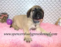 processed/f952aaee-cca1-46e9-9308-e8aa736625c3/listing/314839b3-f45a-478d-a95b-e6c5edf3e8cb/4e714ae6-2cbf-4f62-aa37-22481a774526