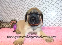 processed/f952aaee-cca1-46e9-9308-e8aa736625c3/listing/314839b3-f45a-478d-a95b-e6c5edf3e8cb/5c8fec1e-5576-4458-aff6-c6cdab20440e