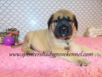 processed/f952aaee-cca1-46e9-9308-e8aa736625c3/listing/314839b3-f45a-478d-a95b-e6c5edf3e8cb/a46759d9-e01a-4560-8842-9ce50953ae1c