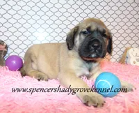 processed/f952aaee-cca1-46e9-9308-e8aa736625c3/listing/314839b3-f45a-478d-a95b-e6c5edf3e8cb/b7c7c37f-ea11-4b1f-8fa9-bf4f91bb32e0