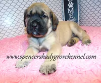 processed/f952aaee-cca1-46e9-9308-e8aa736625c3/listing/314839b3-f45a-478d-a95b-e6c5edf3e8cb/be2ea47f-b845-413a-95c3-7bf95646c5ac