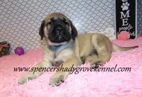 processed/f952aaee-cca1-46e9-9308-e8aa736625c3/listing/314839b3-f45a-478d-a95b-e6c5edf3e8cb/ceb41c80-d68a-4578-b114-ade1758b299a