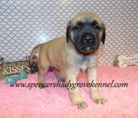 processed/f952aaee-cca1-46e9-9308-e8aa736625c3/listing/3bce42d1-4b8a-4fd6-9d1e-a94567515f75/1e626909-fba5-4bd0-b18a-bd446417a255