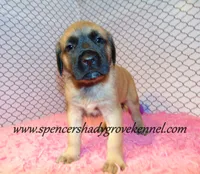 processed/f952aaee-cca1-46e9-9308-e8aa736625c3/listing/3bce42d1-4b8a-4fd6-9d1e-a94567515f75/359fad16-5386-4576-9fab-da0b0aedc440