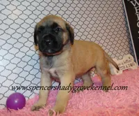 processed/f952aaee-cca1-46e9-9308-e8aa736625c3/listing/3bce42d1-4b8a-4fd6-9d1e-a94567515f75/aedf2a97-18df-43d4-8040-81ba675262c0