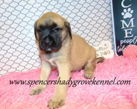 processed/f952aaee-cca1-46e9-9308-e8aa736625c3/listing/3bce42d1-4b8a-4fd6-9d1e-a94567515f75/b8c1b616-6a16-4b33-ae11-70a9924ae496