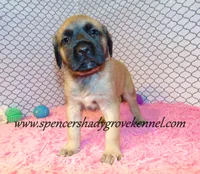 processed/f952aaee-cca1-46e9-9308-e8aa736625c3/listing/3bce42d1-4b8a-4fd6-9d1e-a94567515f75/d492943f-9a64-479b-8c65-ea2323519b06