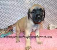 processed/f952aaee-cca1-46e9-9308-e8aa736625c3/listing/3bce42d1-4b8a-4fd6-9d1e-a94567515f75/e96a9025-b8eb-49fc-a7a5-421109e90ed2