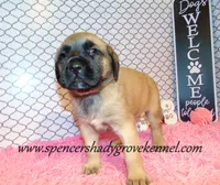 processed/f952aaee-cca1-46e9-9308-e8aa736625c3/listing/3bce42d1-4b8a-4fd6-9d1e-a94567515f75/eb14b9ec-e64c-4cfd-8f75-c1701b48104c