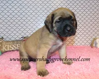 processed/f952aaee-cca1-46e9-9308-e8aa736625c3/listing/3ec0c316-884c-4144-b928-e576baf5d85b/12cd9616-e289-4097-9d06-89447d495536