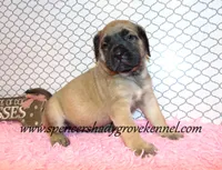 processed/f952aaee-cca1-46e9-9308-e8aa736625c3/listing/3ec0c316-884c-4144-b928-e576baf5d85b/24cc7f73-3d74-4e1b-84fa-f8e07bfc00f1