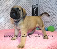 processed/f952aaee-cca1-46e9-9308-e8aa736625c3/listing/3ec0c316-884c-4144-b928-e576baf5d85b/54a16fc8-e782-4d8a-a2f7-b9462f463a3c