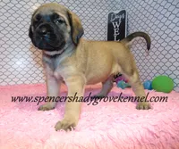 processed/f952aaee-cca1-46e9-9308-e8aa736625c3/listing/3ec0c316-884c-4144-b928-e576baf5d85b/65c8987c-2d28-4efc-9a61-46165ad738b7