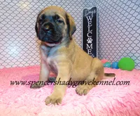 processed/f952aaee-cca1-46e9-9308-e8aa736625c3/listing/3ec0c316-884c-4144-b928-e576baf5d85b/bfa43a3d-3a0c-4331-8b26-eb89cc295ab3