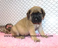 processed/f952aaee-cca1-46e9-9308-e8aa736625c3/listing/3ec0c316-884c-4144-b928-e576baf5d85b/ea15953f-360b-43b4-b62d-387f8a35d0ef