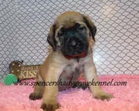 processed/f952aaee-cca1-46e9-9308-e8aa736625c3/listing/3ec0c316-884c-4144-b928-e576baf5d85b/eac80183-1013-4d20-8fa1-3e8efcc728a8