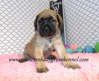 processed/f952aaee-cca1-46e9-9308-e8aa736625c3/listing/3ec0c316-884c-4144-b928-e576baf5d85b/fd4a16c4-2b0c-4927-9cad-66399f066cf9