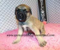 processed/f952aaee-cca1-46e9-9308-e8aa736625c3/listing/424e91f8-fa9d-42d4-810e-bcdf321693b8/0dc30247-b9fc-4ae3-a2db-2cad13505d01