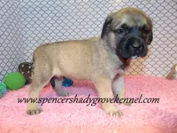 processed/f952aaee-cca1-46e9-9308-e8aa736625c3/listing/424e91f8-fa9d-42d4-810e-bcdf321693b8/2928af54-b9ea-42c3-a860-37ddff69c0c5