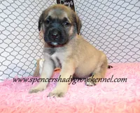 processed/f952aaee-cca1-46e9-9308-e8aa736625c3/listing/424e91f8-fa9d-42d4-810e-bcdf321693b8/384caea5-fac4-495b-a653-7e57dfd71656