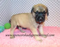 processed/f952aaee-cca1-46e9-9308-e8aa736625c3/listing/424e91f8-fa9d-42d4-810e-bcdf321693b8/4d1f7a70-658c-4456-94de-20bba1f2c3cb