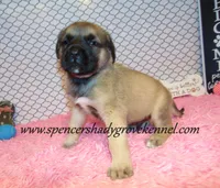 processed/f952aaee-cca1-46e9-9308-e8aa736625c3/listing/424e91f8-fa9d-42d4-810e-bcdf321693b8/815b869e-265e-451b-81a2-0e39958c2c72