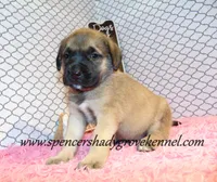 processed/f952aaee-cca1-46e9-9308-e8aa736625c3/listing/424e91f8-fa9d-42d4-810e-bcdf321693b8/8559b998-5d95-43ad-8a77-c58a0dbf8a3d