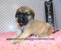 processed/f952aaee-cca1-46e9-9308-e8aa736625c3/listing/424e91f8-fa9d-42d4-810e-bcdf321693b8/b3262888-b236-42fd-88b4-91cfa821af8a