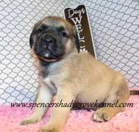 processed/f952aaee-cca1-46e9-9308-e8aa736625c3/listing/424e91f8-fa9d-42d4-810e-bcdf321693b8/b78215f5-1af2-4fb2-ac38-d4b9e333142f