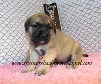 processed/f952aaee-cca1-46e9-9308-e8aa736625c3/listing/424e91f8-fa9d-42d4-810e-bcdf321693b8/bf60a932-9e47-45b0-8e8f-ccec08e41c65