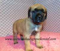 processed/f952aaee-cca1-46e9-9308-e8aa736625c3/listing/8b047470-f711-4569-b3d6-84bfe9e27c7b/1be91ef5-73a0-431c-8152-a88808203008