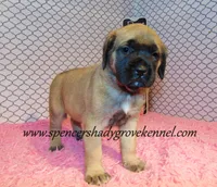 processed/f952aaee-cca1-46e9-9308-e8aa736625c3/listing/8b047470-f711-4569-b3d6-84bfe9e27c7b/6b29392b-afca-4e5a-b17e-5a82e9a24c20