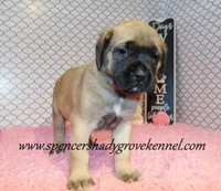 processed/f952aaee-cca1-46e9-9308-e8aa736625c3/listing/8b047470-f711-4569-b3d6-84bfe9e27c7b/7f008029-0a45-4281-bbb5-64776f1eaa23