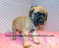 processed/f952aaee-cca1-46e9-9308-e8aa736625c3/listing/8b047470-f711-4569-b3d6-84bfe9e27c7b/cacdab0d-9fc5-48bc-a888-2616cf773e82