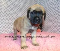 processed/f952aaee-cca1-46e9-9308-e8aa736625c3/listing/8b047470-f711-4569-b3d6-84bfe9e27c7b/ea41450a-1b2c-4561-8e9d-e0d450d1eb88