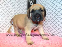 processed/f952aaee-cca1-46e9-9308-e8aa736625c3/listing/baac5c8d-099d-4a70-bd72-7ee760468b9e/0e4311cf-e159-4b1a-a973-1d574fdaba73