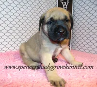 processed/f952aaee-cca1-46e9-9308-e8aa736625c3/listing/baac5c8d-099d-4a70-bd72-7ee760468b9e/1bb2d969-c55e-49c3-b186-342f2ebf3448