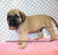 processed/f952aaee-cca1-46e9-9308-e8aa736625c3/listing/baac5c8d-099d-4a70-bd72-7ee760468b9e/1ed671d4-fca6-47c8-842f-a9b0e360241c