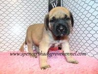 processed/f952aaee-cca1-46e9-9308-e8aa736625c3/listing/baac5c8d-099d-4a70-bd72-7ee760468b9e/abb17c4c-4de1-4c73-8948-5733a4dc9614