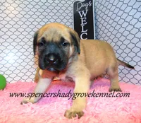 processed/f952aaee-cca1-46e9-9308-e8aa736625c3/listing/baac5c8d-099d-4a70-bd72-7ee760468b9e/bee0cc20-12d7-43cd-8735-7585cfe6a029