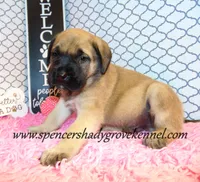 processed/f952aaee-cca1-46e9-9308-e8aa736625c3/listing/baac5c8d-099d-4a70-bd72-7ee760468b9e/ce7a325b-cf7f-4162-8a82-ecf28fb7d61d