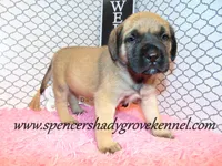 processed/f952aaee-cca1-46e9-9308-e8aa736625c3/listing/baac5c8d-099d-4a70-bd72-7ee760468b9e/fbf9ab28-403a-418e-9b5f-6d74c118b574