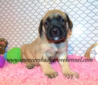 processed/f952aaee-cca1-46e9-9308-e8aa736625c3/listing/c195272e-c0d8-40d8-b05c-a09a5ff4911f/1a776c8c-ba70-4173-af3f-7cc60f045d45